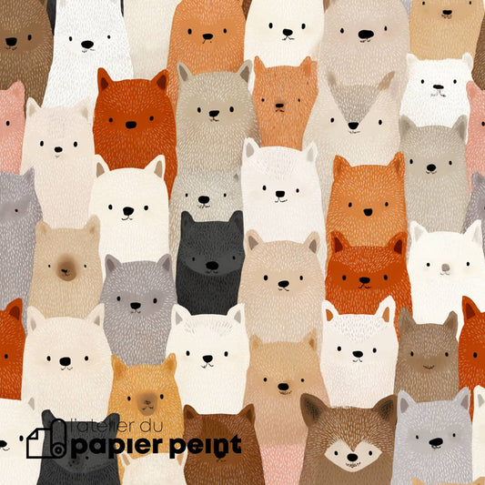 Papier peint Les renards