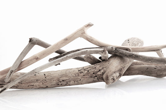 Papier peint zen bois flotté