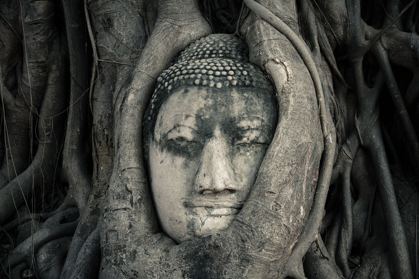 Papier peint zen bouddah Ayutthaya