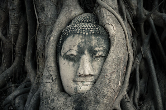 Papier peint zen bouddah Ayutthaya