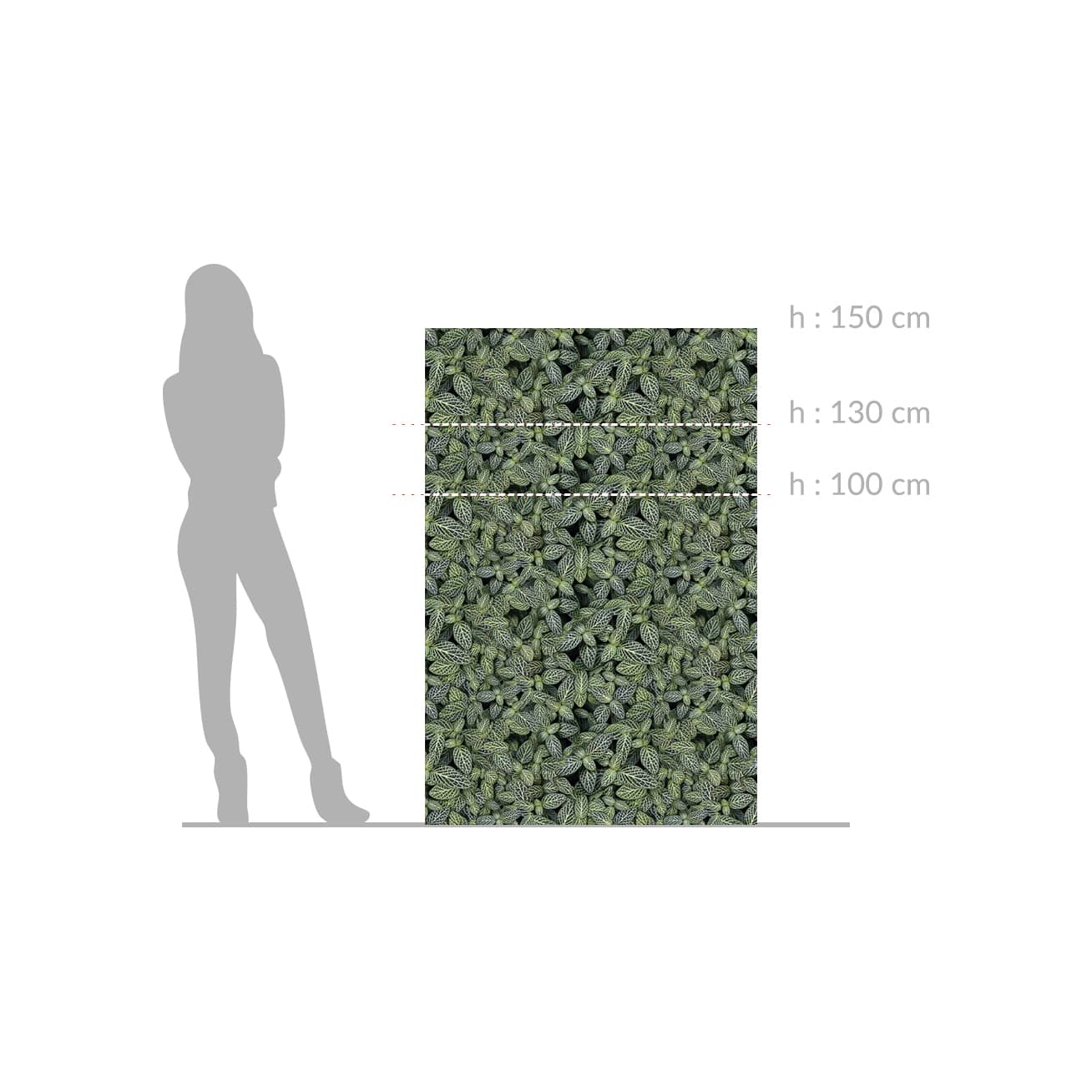 Brise vue effet feuillage de Fitonia